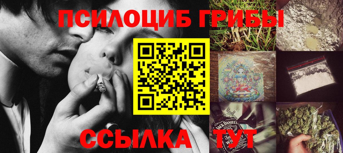 Гулькевичи  Псилоцибиновые грибы MAGIC MUSHROOMS  Вход с VPN 